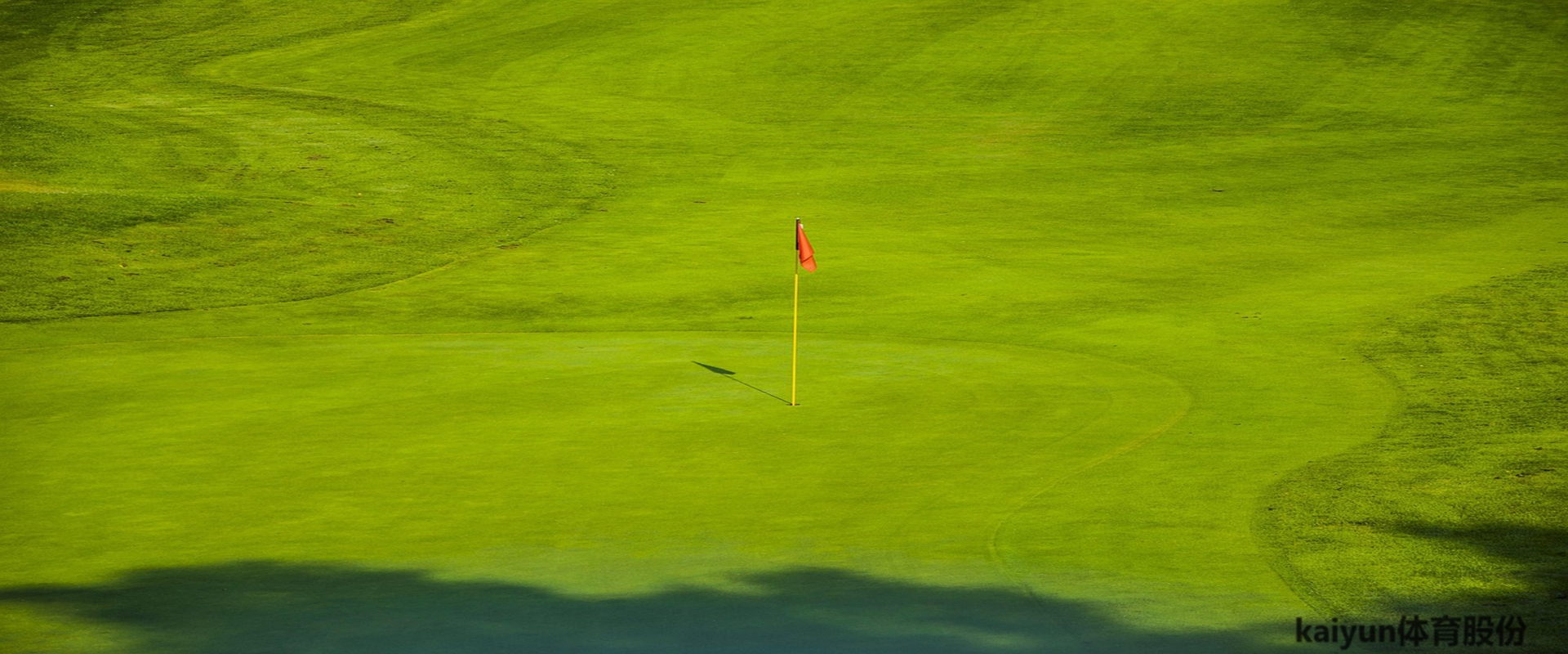 Kaiyun体育植物神经感应机器人工作场景