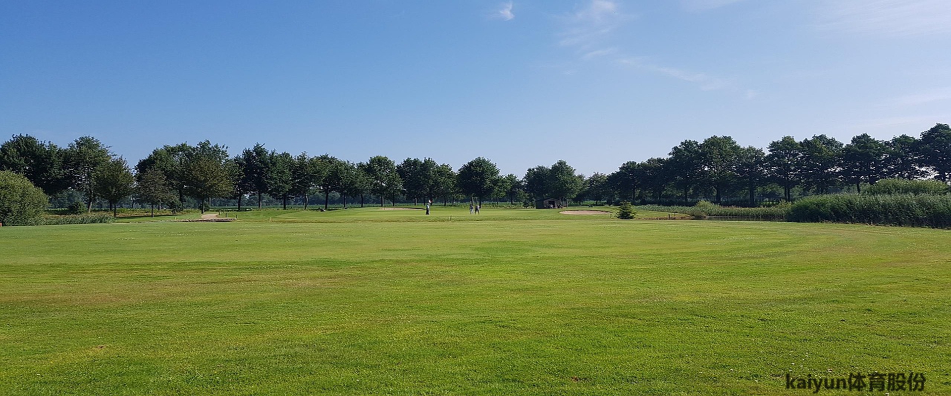Kaiyun体育植物神经感应机器人工作场景