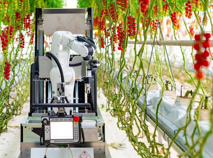 春晚“带货”新物种：具身机器人何以被疯抢(图1)