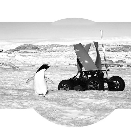 阿里巴巴Qwen-Robot系列引领机器人智能新纪元(图1)